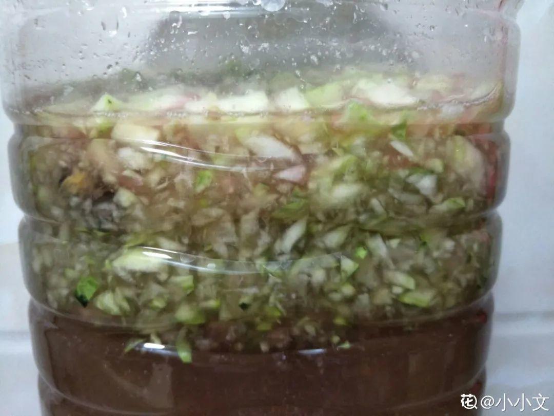 花盆里埋一捆电线,竟然再也不黄叶,花还蹭蹭开爆!