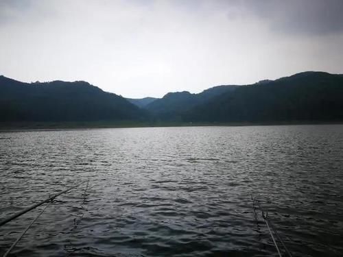 雨水时常让钓鱼变得好钓又难钓，对此我有几点要说（三）