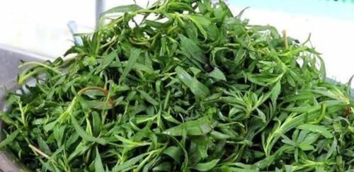 女人|女人月经期间，多吃3种食物，子宫光滑又干净，痛经不来扰