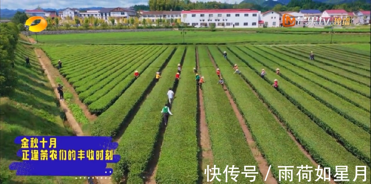 歡唱大篷車|為了聽楊鈺瑩唱歌,我蹲了這個(gè)節(jié)目,全民歡唱的綜藝!