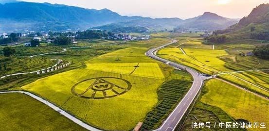  第八代五粮液什么味道 多粮浓香名酒品质