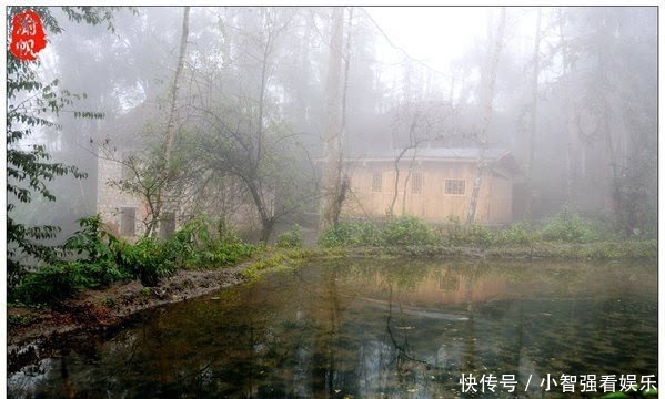 仙境|红河梯田，雾中箐口似仙境