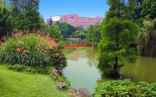 大学|500强企业频频抢人，就业率达96％，这所211大学实力强悍