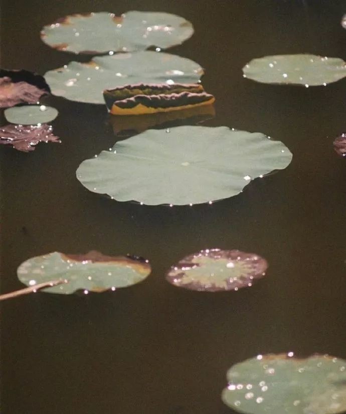 谨慎|曾国藩居官不败的五大处事原则