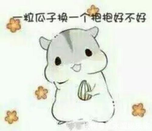 |开心笑话你们两口子真逗,前几天不是刚离婚嘛