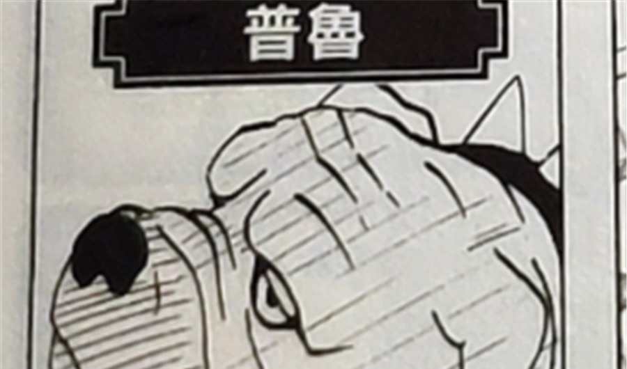 小樱|卡卡西的八忍犬都叫什么名字?帕克让小樱抓狂,阿基诺时刻戴墨镜