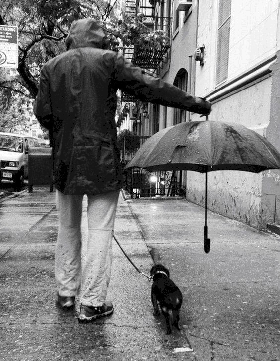 ps|29张没有ps的历史照片,看完第1张就泪奔了………