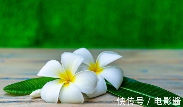 地支|三周以后，邂逅佳缘，爱神归位，再次牵手，更胜新婚，牵手白头