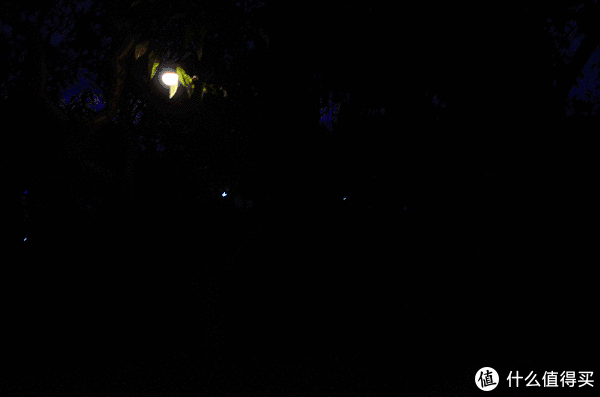 光通量|中秋夜的多彩小可爱:傲雷Obulb MC氛围灯