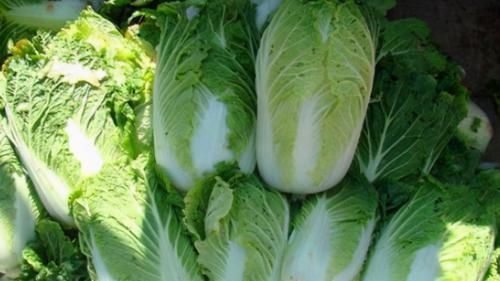 养肾|男人要养肾，女人要养肝，3种食物，养肝护肝，排毒养颜，美容