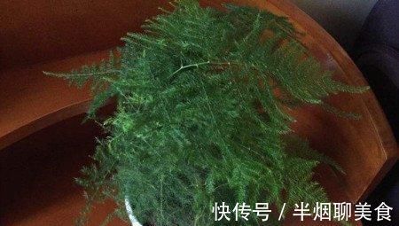 文竹|文竹养几盆有讲究吗？专家：养护的五项注意一定要牢记
