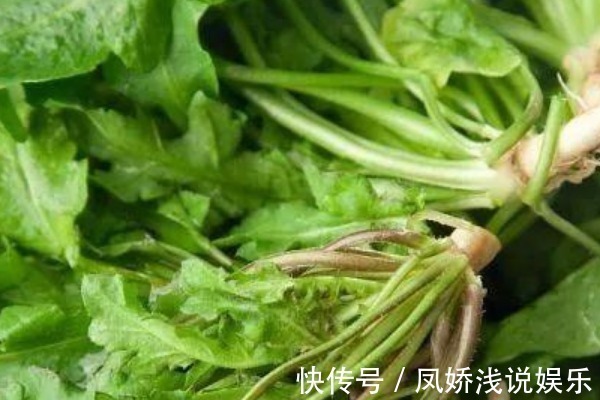 灰灰菜|农村人的“天然钙片”,补钙又健脑,小孩多吃个子长得快!