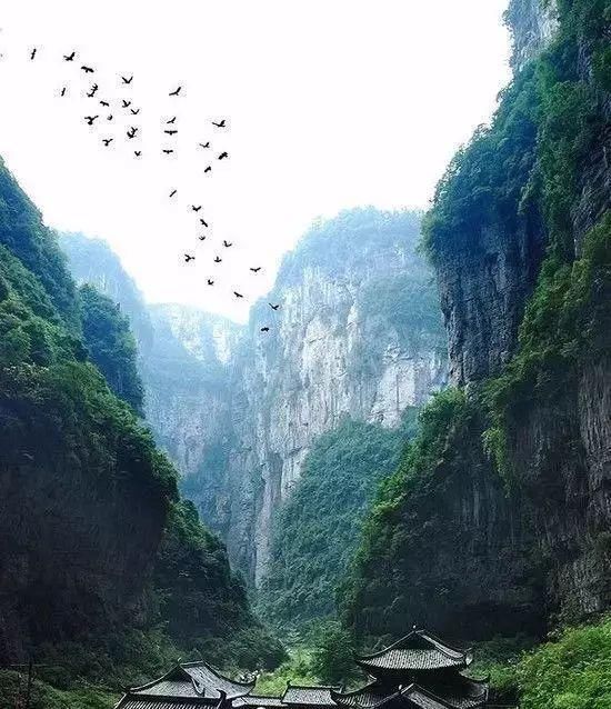 传来|太美了,世界照片今天终于传来,罕见至极,一睹为快