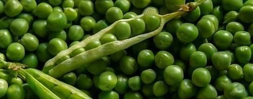  补充|每天可以多吃3种食物，补充营养、滋润肌肤，好处多多！