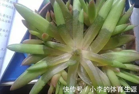 要想成为一名合格的肉友，你还需要知道这些黑话