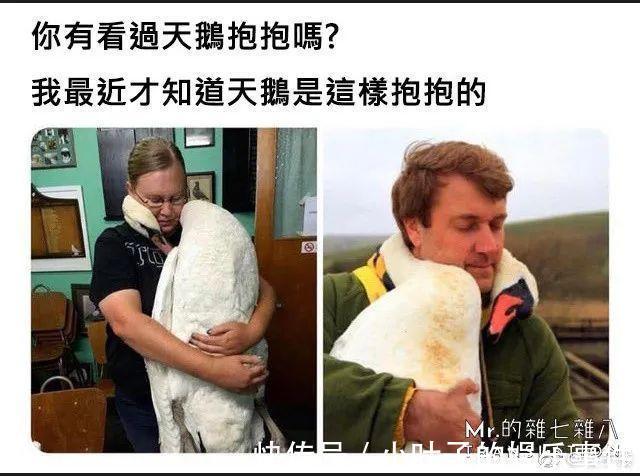 |听说想看低成本cos的漂亮小姐姐  冷段子1383 & 去年今日1073