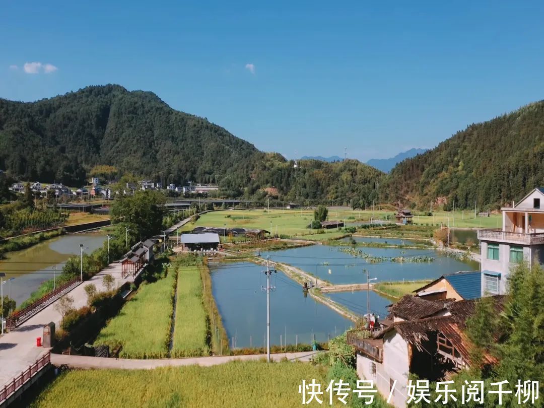 覆盆子|庆元村落庆元周边的神仙古村，周末隐居刚刚好！