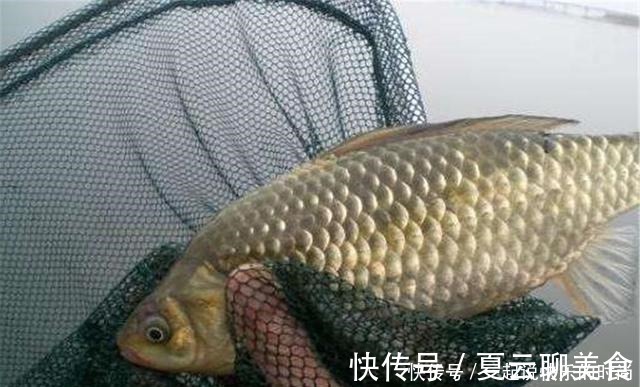 钓鱼|秋冬想钓大鲫鱼,没有给力的窝料怎么行,这个配方有奇效,别错过