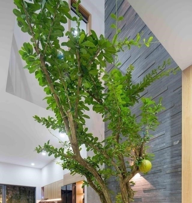 农村|卖掉城里100㎡,回农村建230㎡别墅,一楼院子顶楼露台,生活安逸