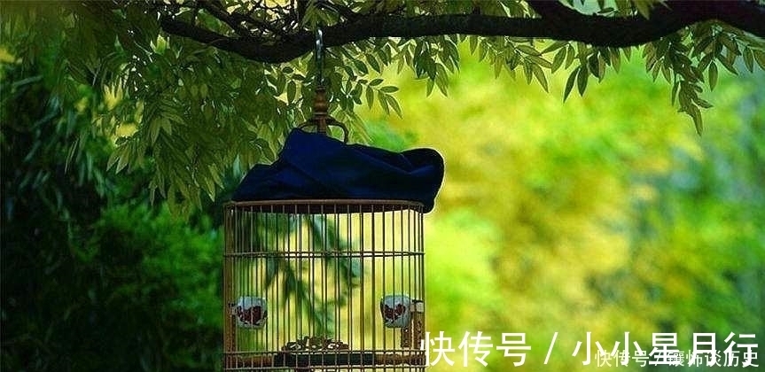 杨万里$清风明月正宜人,足以慰风尘,七首唯美宋诗,忘却烦恼只留星辰