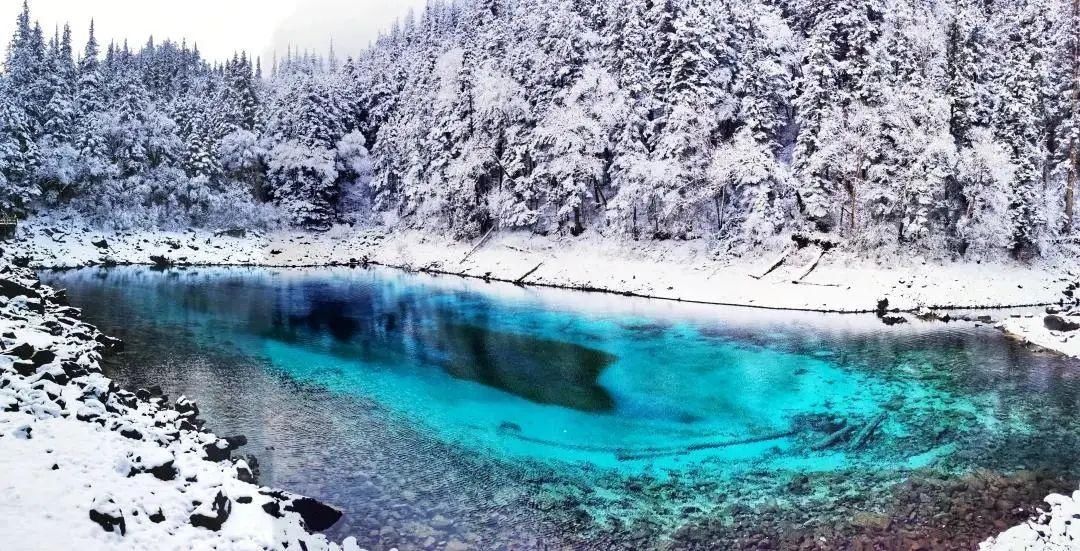 一场春雪 万种风情~九寨沟等你来“撩”！