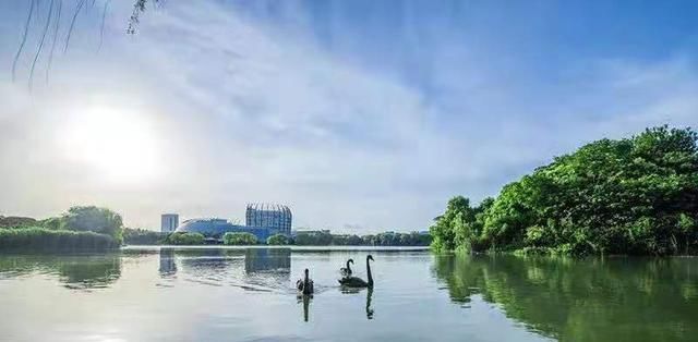 高校|上海被严重“低估”的大学，曾是行业顶尖名校，如今被人遗忘