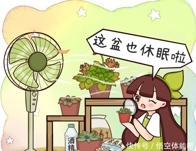 花一变这样，就是休眠了，赶紧换个地方养！花一变这样，就是休眠了，赶紧换个地方养！