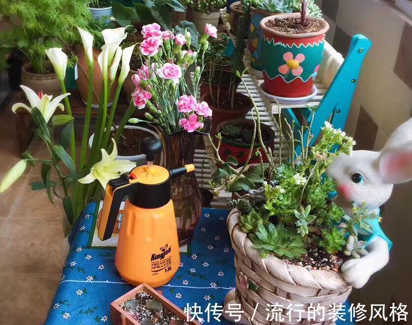 养花|没有花盆,怎么养花?解决方法有3种,你知道吗?