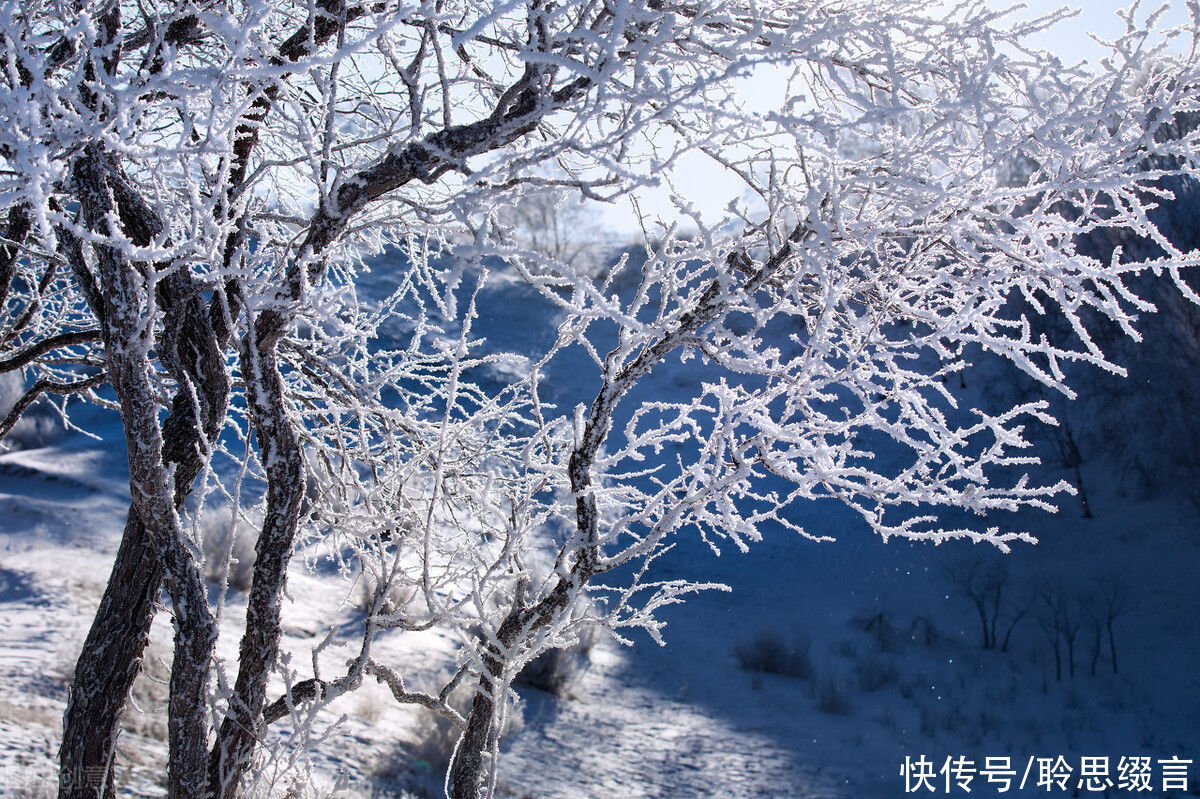  慵懒|白居易《夜雪》，寒夜雪飘，慵懒无心，勾不起一点想象