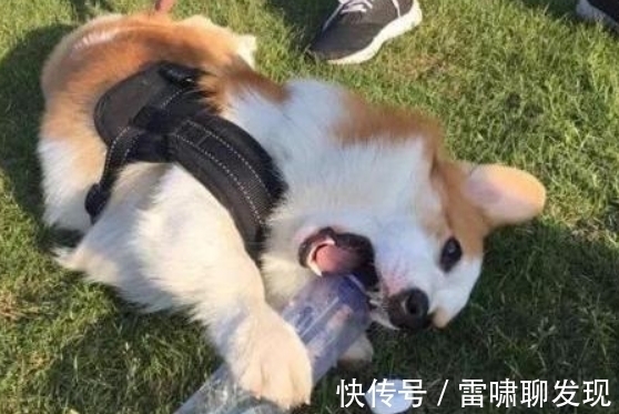 |搞笑段子：我姐30多岁还没嫁，我爸：活要见人，死要见尸……