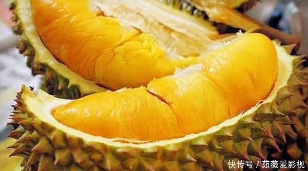 榴莲树一年可结400多个果，为什么卖那么贵原因其实很简单