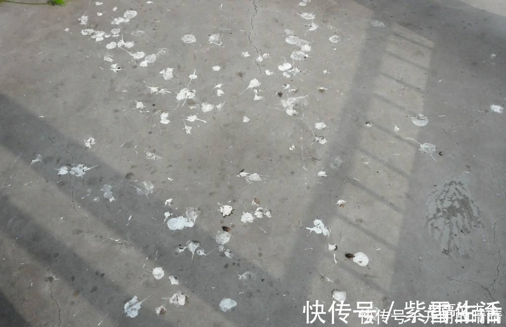 胡粉|古代女子为了变白，竟然使用这3种东西，最后一种太“恶心”！