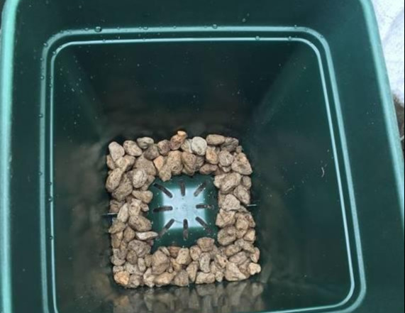 养花技巧花草换盆不懂这3点难怪换完盆就黄叶枯死