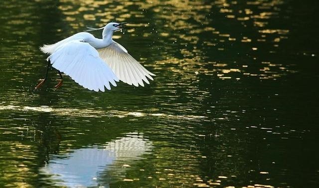 齐桓公&不出名却很巧妙的3副对联,读来有滋有味,值得用笔记下来!