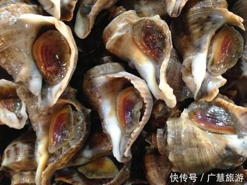  日照美食是海鲜，外地游客来日照建议品尝海鲜，避免被宰有心得