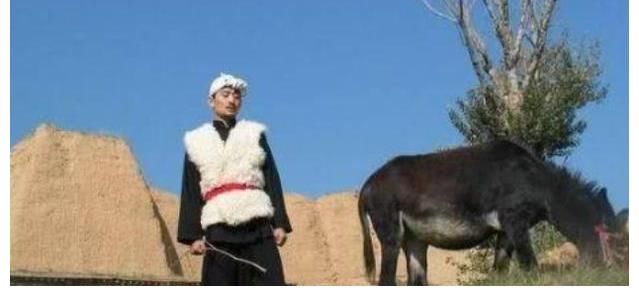 阿宝|阿宝:从“牧羊歌手”到“人设崩塌”,他的故事远比你想得更恶劣