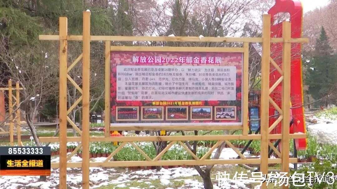 打卡|踏春好去处！18万株郁金香竞相绽放等你来打卡