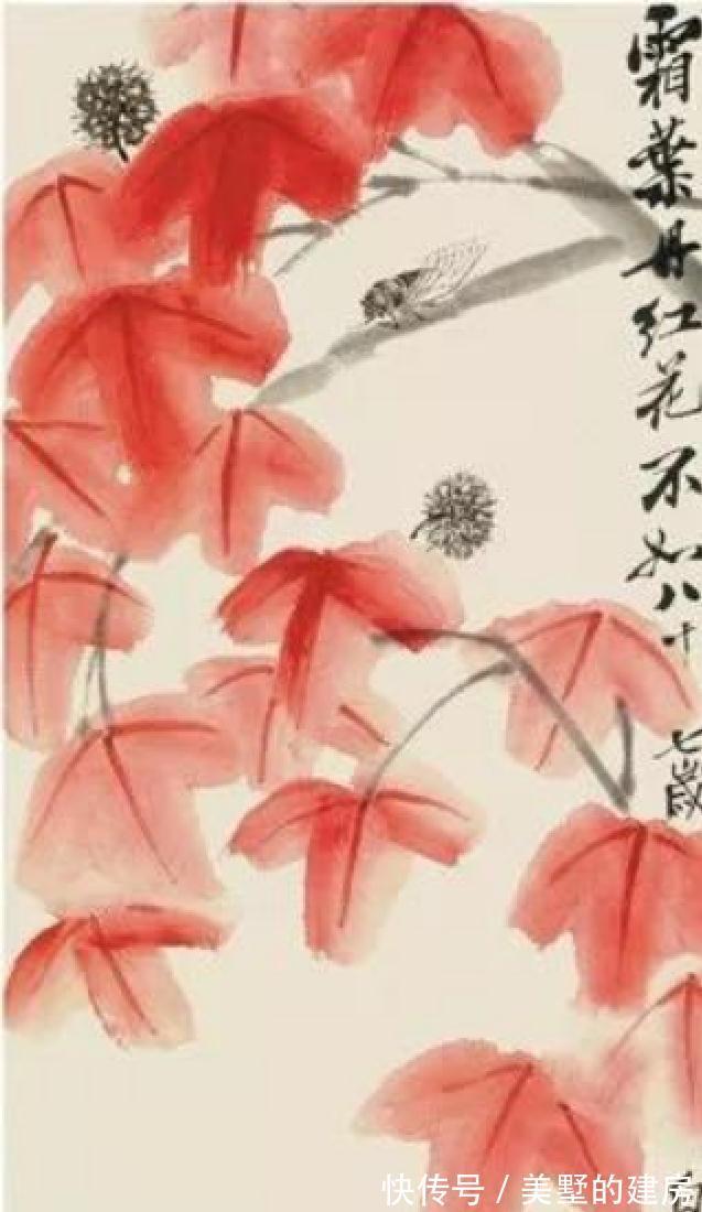 新凤霞!齐白石因美貌初识新凤霞,结下''父女缘分'',2人存在真友谊吗?