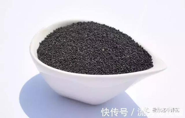 可口|1种野菜含钾高,阳台就能种,年年可摘,好吃可口!