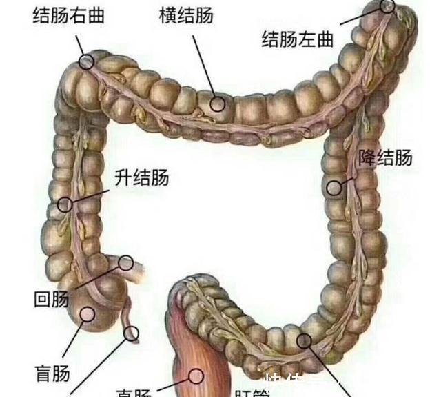 发病率|大肠癌早期不痛不痒吗?如果发现这4个异常,建议大家不要忽视