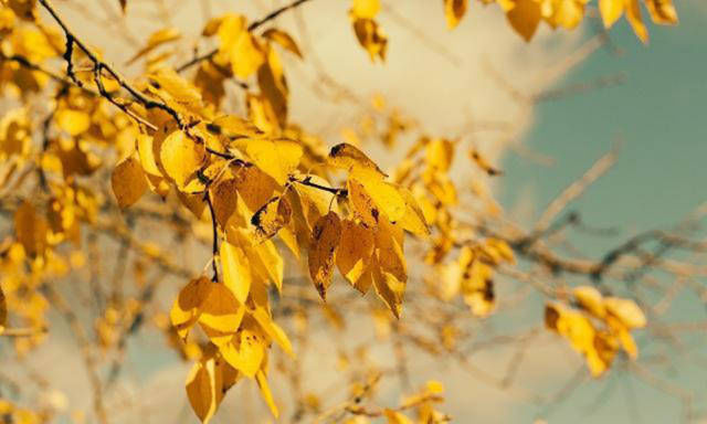 三大|辛弃疾被朋友骗了后一病不起,写下首临终绝笔,道出人生三大真谛