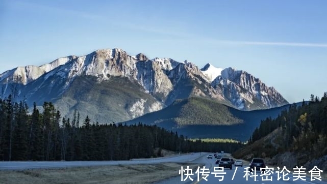 美国|疫情催生了美国独栋别墅的需求市场,独立屋比公寓受欢迎
