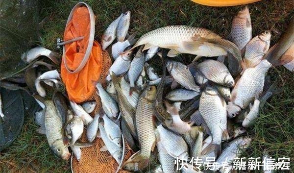 冬季钓鱼困难多，核心技巧就两个，牢记这两招，天冷也不会走空！