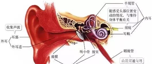 积食引发的中耳炎，如何调理