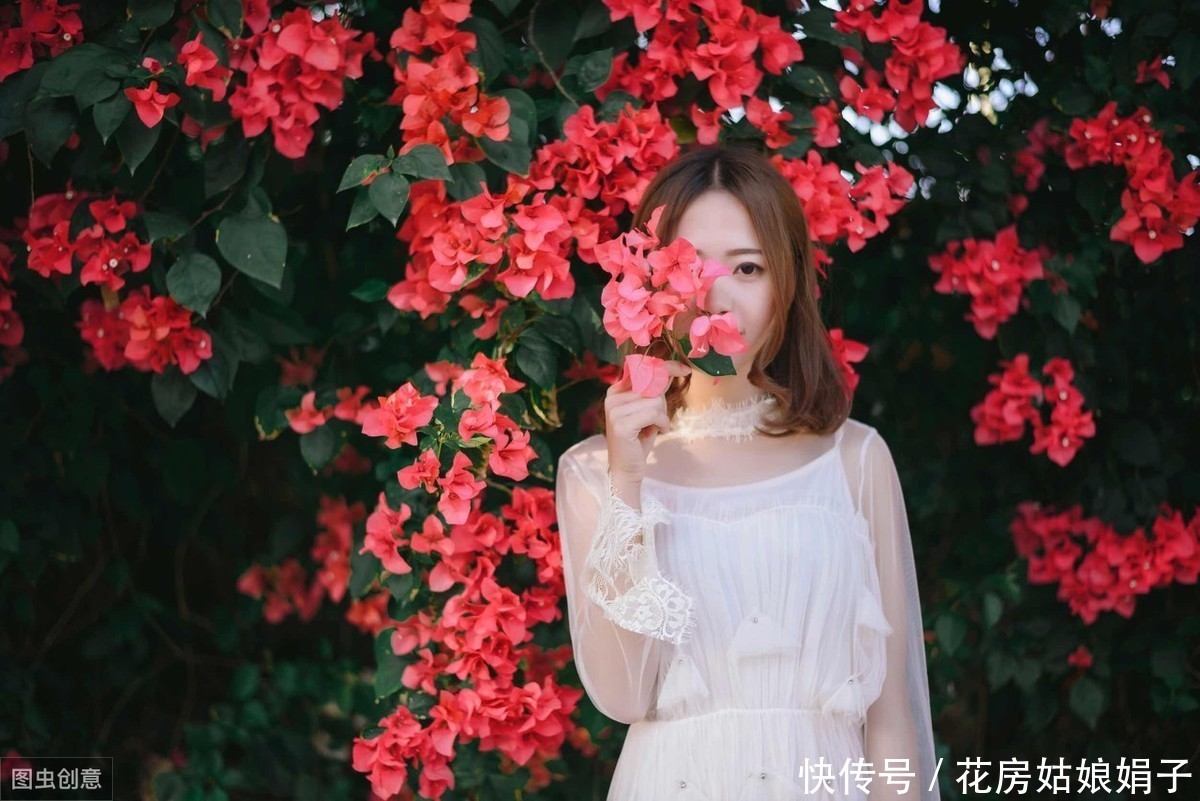 枝条|适合6月里扦插的6种花,插到纸杯里就生根,1根枝条就能成活