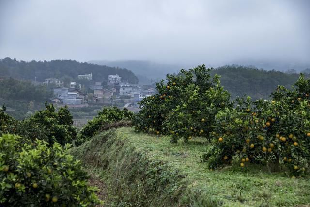 民宿|旅游新宁看崀山丹霞、采脐橙、住民宿，一篇文章助你轻松玩