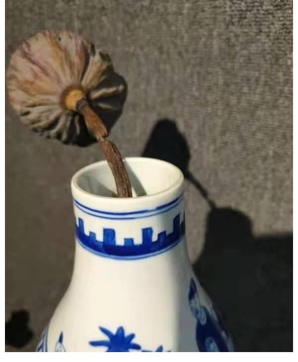 清代!清代青花葫芦瓶鉴赏