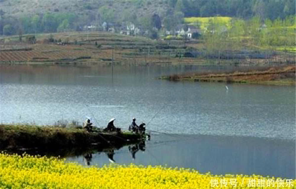 晚春钓鱼找规律,清明过后鱼“藏在”这些位置,遇上了尽量莫错过