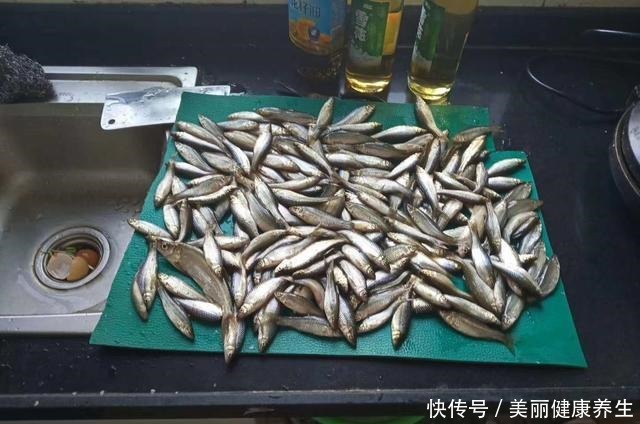 新版“四大家鱼”,每一种都让钓鱼人“头疼”,你认识吗