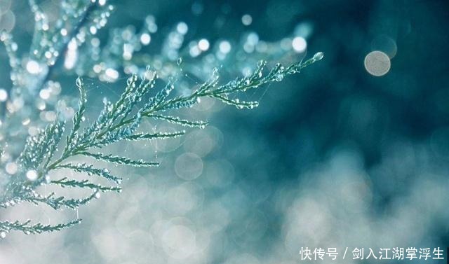 心情|八首诗词,八种眼泪哪一种,是你曾经的心情